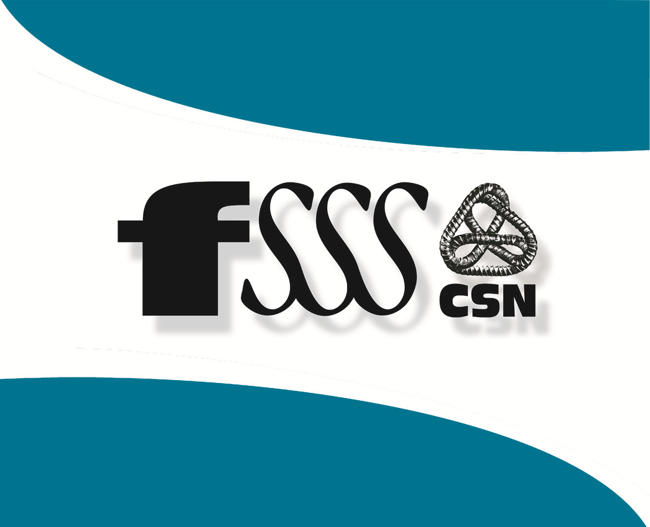 Logo FSSS